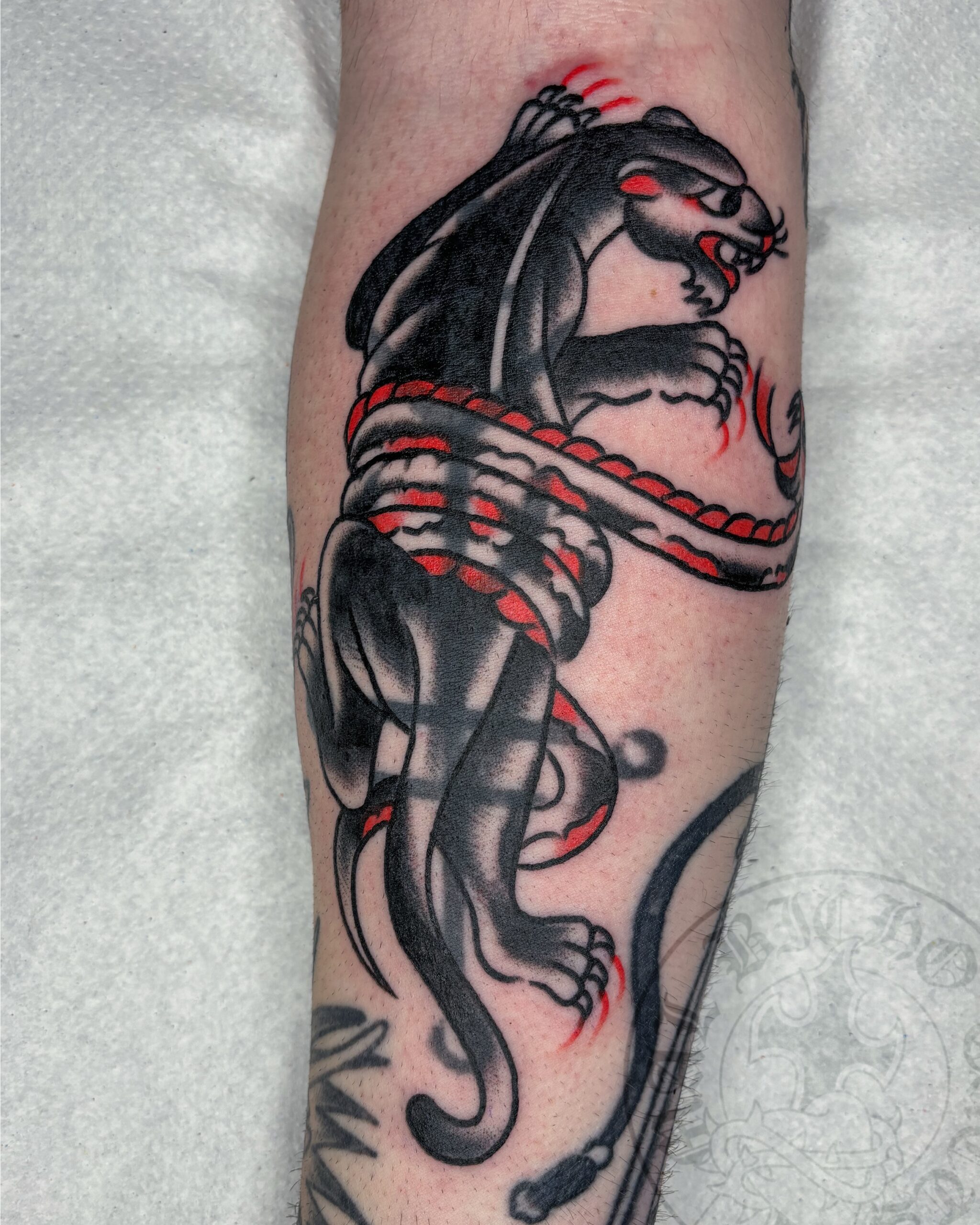 Mal Bicho Tatts Cover pantera y serpierte