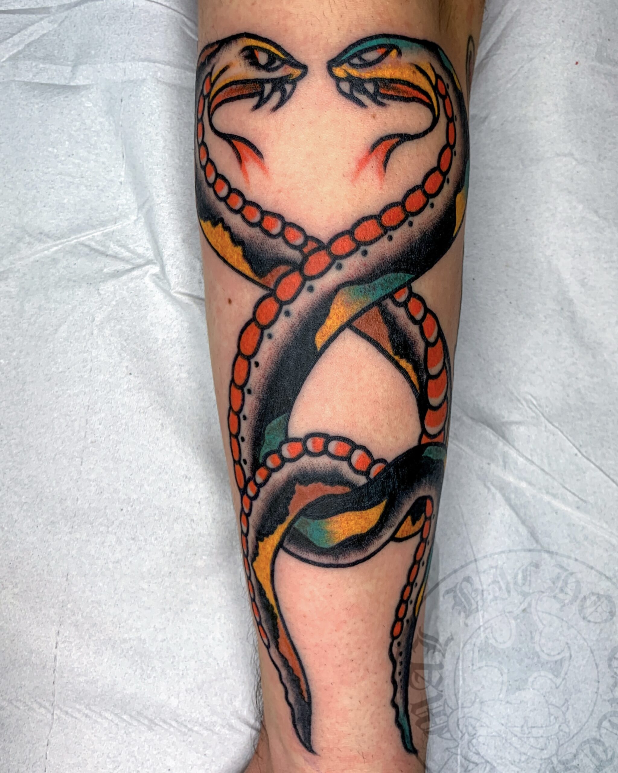 Mal Bicho Tatts Tatuaje tradicional serpientes