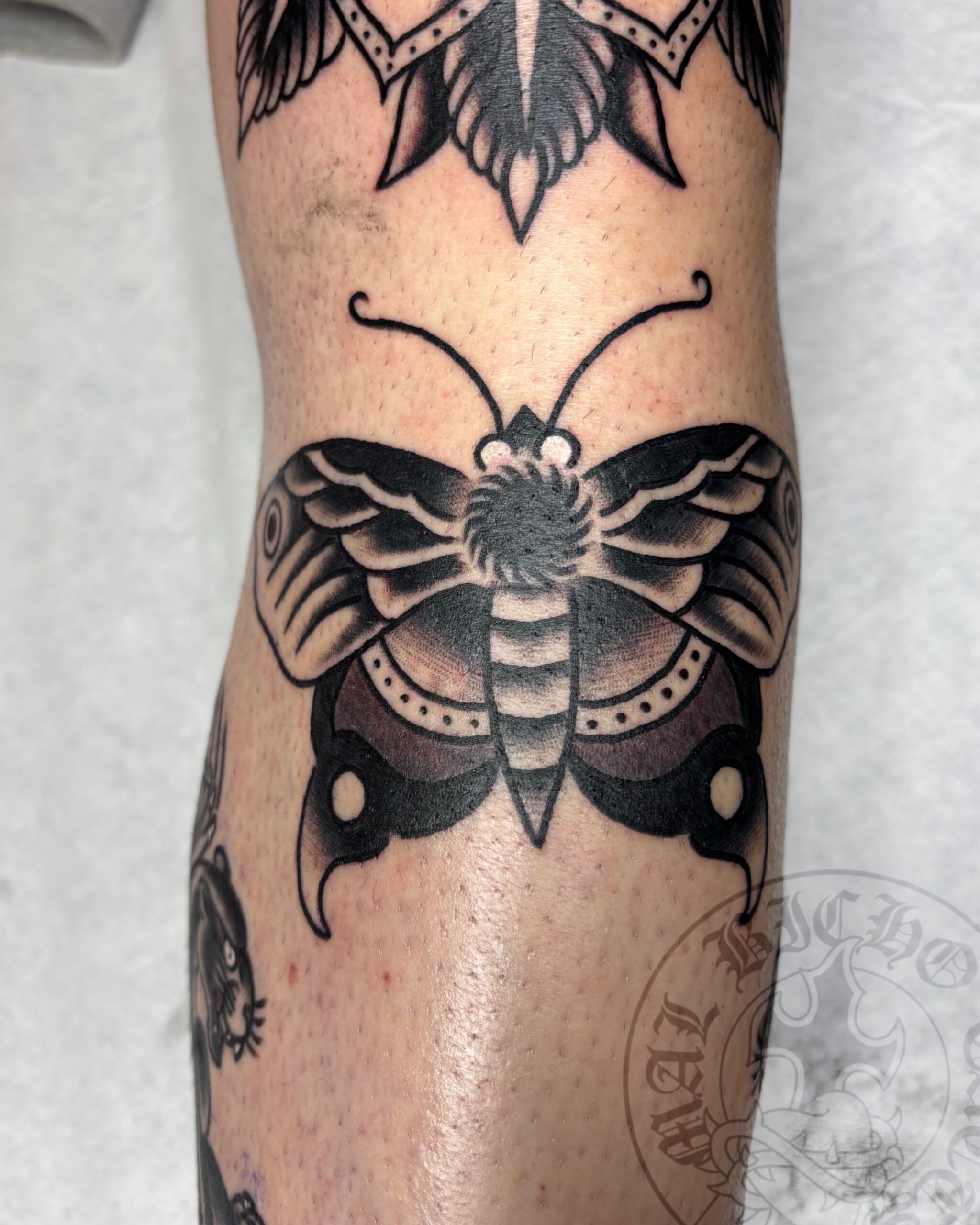 Mal Bicho Tatts Tatuaje tradicional polilla