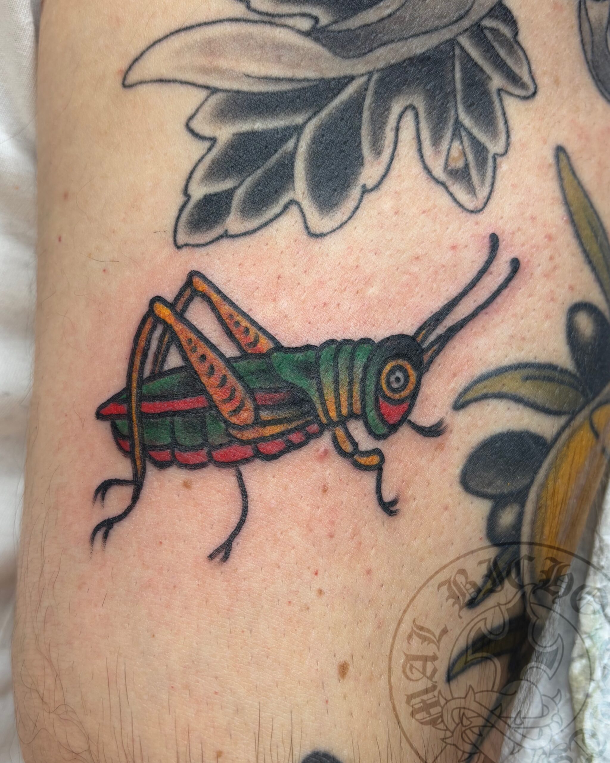 Tatuaje grillo tradicional realizado en Granada. Reserva tu cita en Mal Bicho Tattoo.