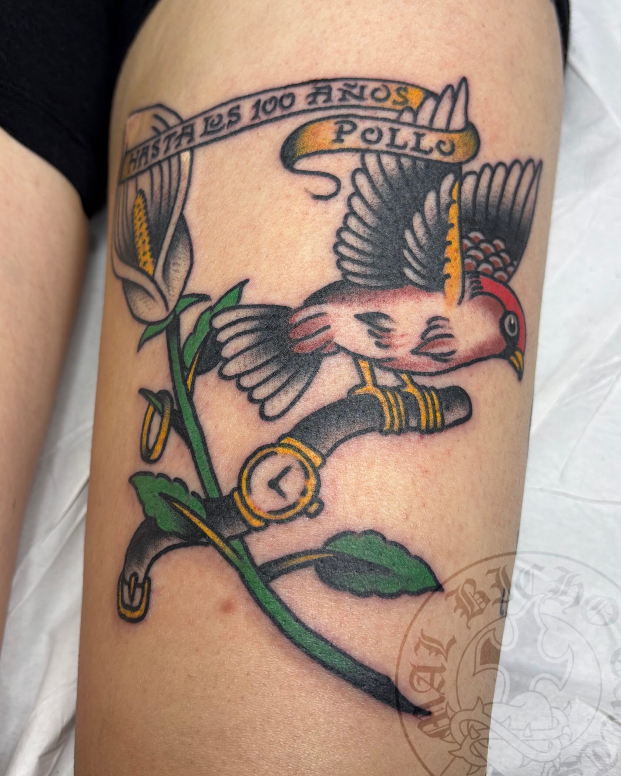 Tatuaje pájaro tradicional realizado en Almeria. Reserva tu cita en Mal Bicho Tattoo.
